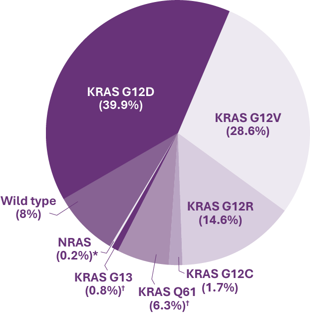 Pie chart that shows the percents of the most common RAS mutations in PDAC, including KRAS G12D (39.9%), KRAS G12V (28.6%), KRAS G12R (14.6%), Wild type (8%), KRAS Q61 (6.3%), KRAS G12C (1.7%), KRAS G13 (0.8%), NRAS (0.2%)
