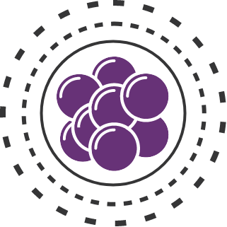 Icon of a cell surrounded by lines in a circle to represent resistance