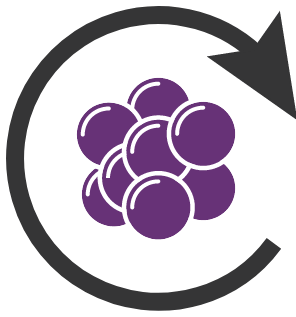 Icon of a cell and an arrow to represent initiation